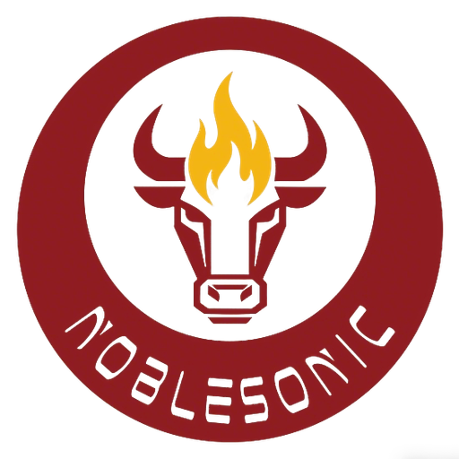 Noblesonic 名门之声